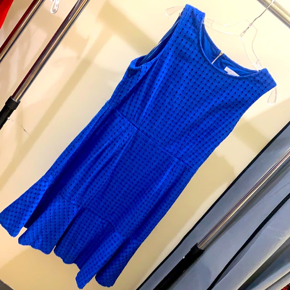 New York & Company mid length flare